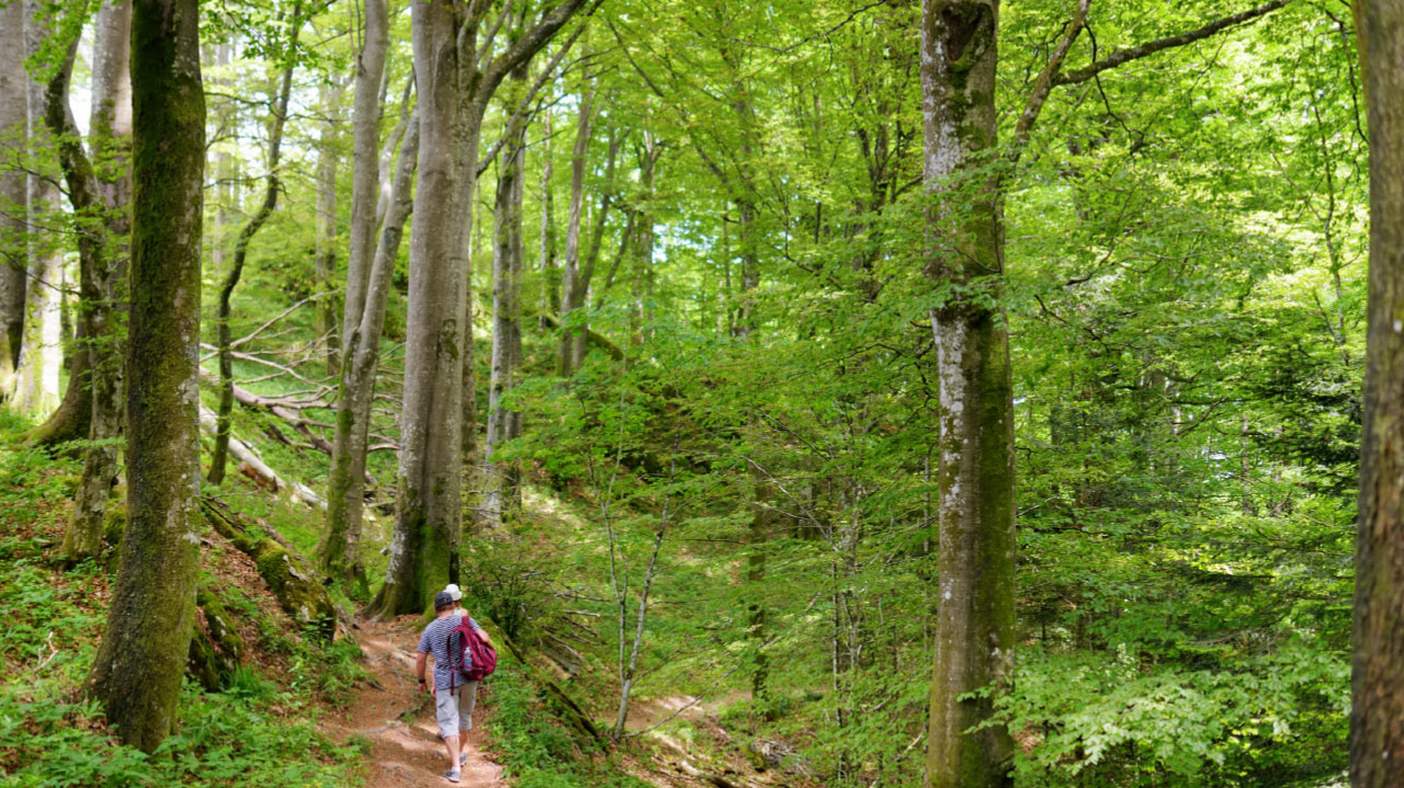 sito UNESCO nr. 53 in Italia